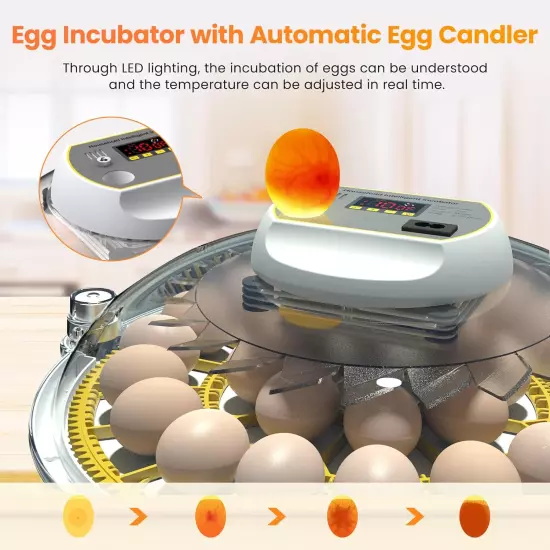 Incubators for Hatching Eggs, 18-60 Eggs Incubator with Automatic Egg Turning an