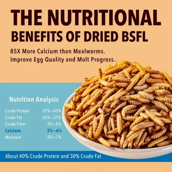 5LB Dried Black Soldier Fly Larvae Treat for Chicken More Calcium than Mealworms