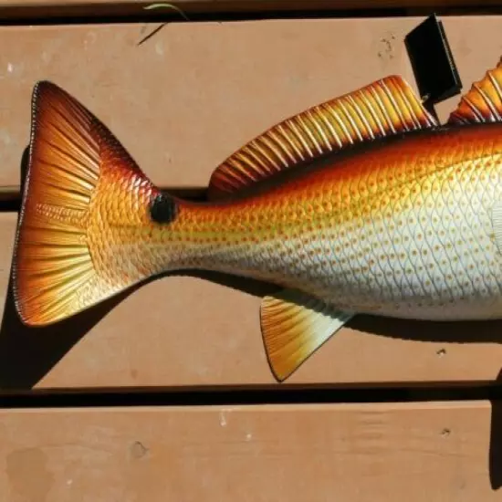 CCA Tournament Memorabilia Redfish Trophy Mount, Ultra-Realistic, Large 28 inch