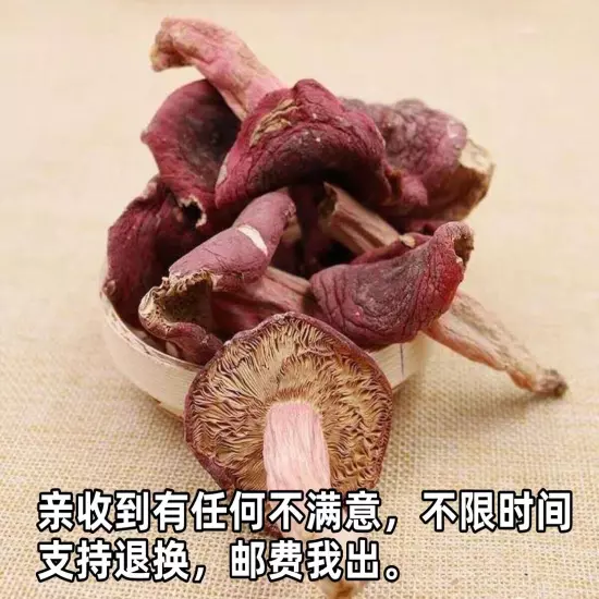 Wild red mushroom dried goods Fujian Zhenghong mushroom