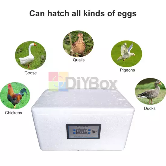 22/42 Egg Incubator Temperature Control Automatic Foam Bionic Egg Incubator Tool