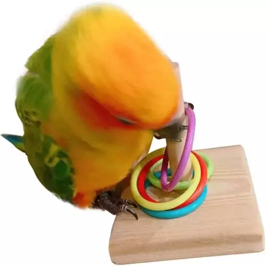 A Set of Parrot Intelligence Training Toys, Colorful Stackable Rings Small Sun R