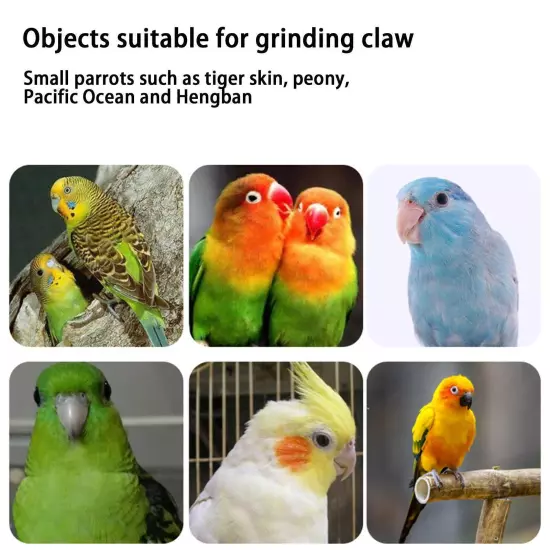 Parrot Paw Grinding Perch Stand Pet Quartz Bird Branch Budgie Chewing Shelf A9Y8