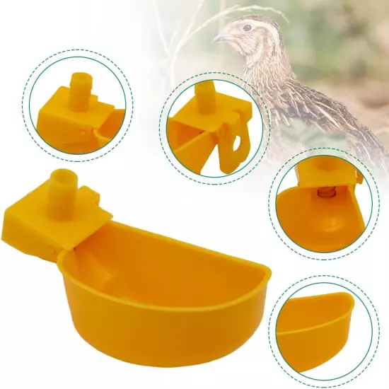 12Pcs Quail Water Cups Pigeon Automatic Bird Waterer for Cage Hang Drinker Breed