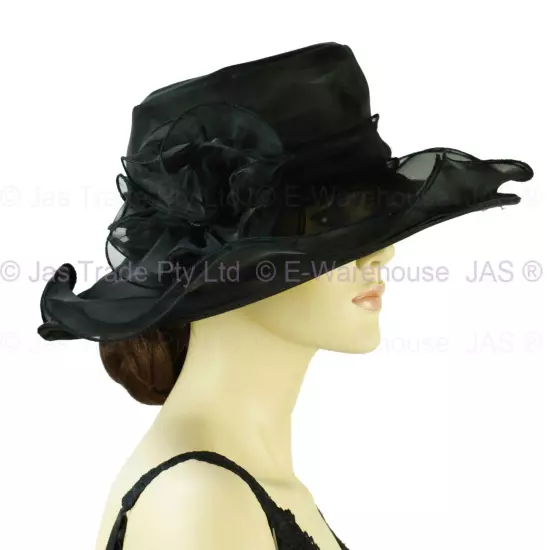 Spring Race Carnival Derby Day Church Wedding Women Ladies Organza Evening Hat