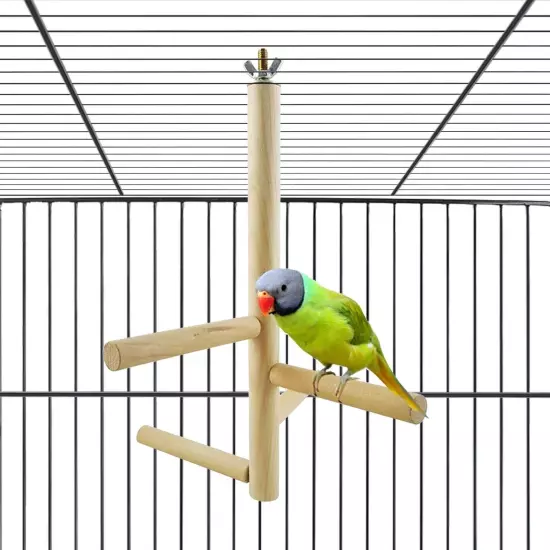 Parakeet PerchBird Natural Wood StandParrot Cage Top Wooden Branches for Stan...