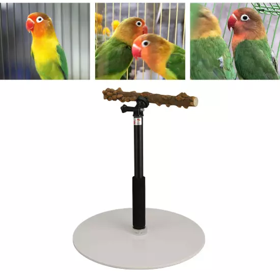 Adjustable Bird Perch Portable Detachable Parrot Play Stand for Indoor Outdoor