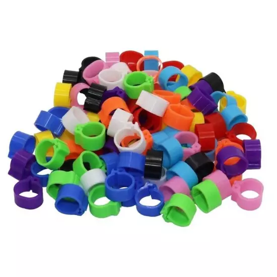 200PC Plastic Racing Pigeon Leg Rings Bands Birds Training Accessories 10mm New