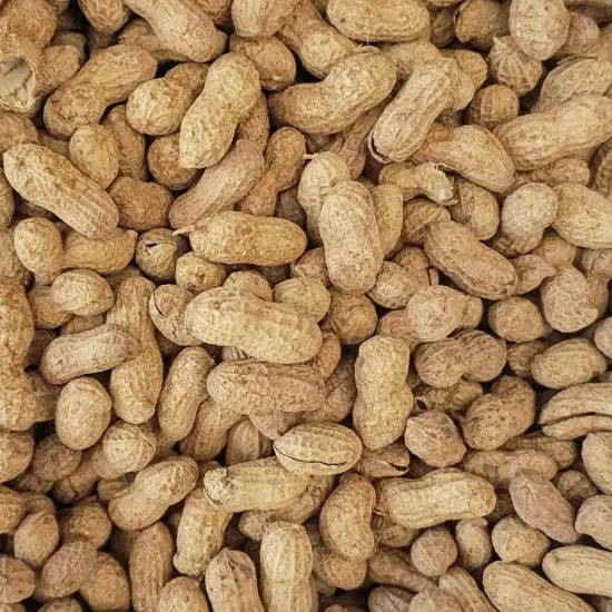 Peanut Party in-Shell Peanuts for Birds, Squirrels, Wild Animal Food, 25 Pound B