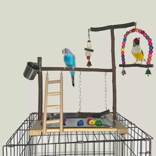 Bird Playground Parrot Playstand Parakeet Gym Playpen Cockatiel Play Stand Wo...