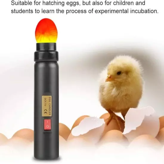 Egg Candler Tester High Intensity Cool LED Light Candling Lamp, Rechargeable ...