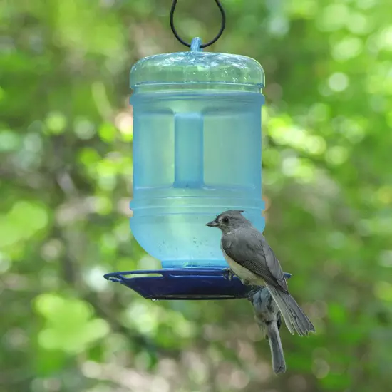 Perky-Pet 780 Outdoor Hanging Water Cooler Bird Waterer and Dispenser,Blue, 1.5 