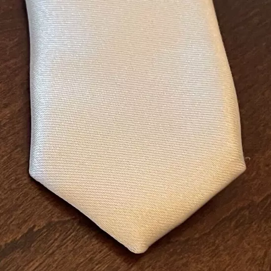 J. Ferrar Tan 100% Microfiber Men’s Neck Tie Made In China