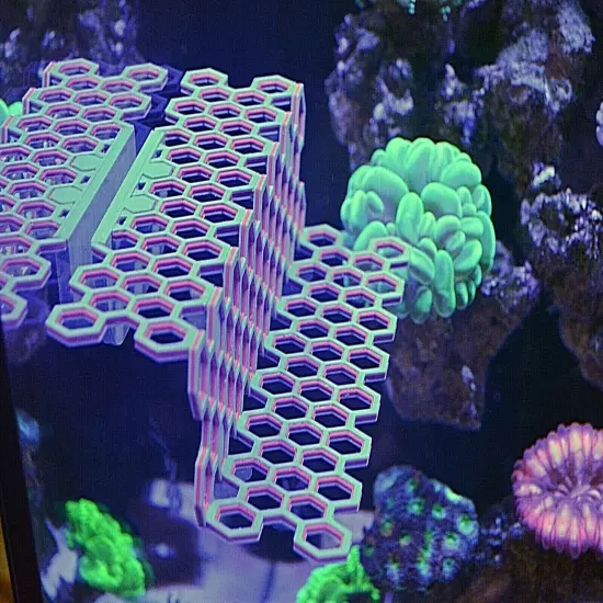 Magnetic FRAG STATION HUB Reef plug holder live coral reef saltwater aquarium