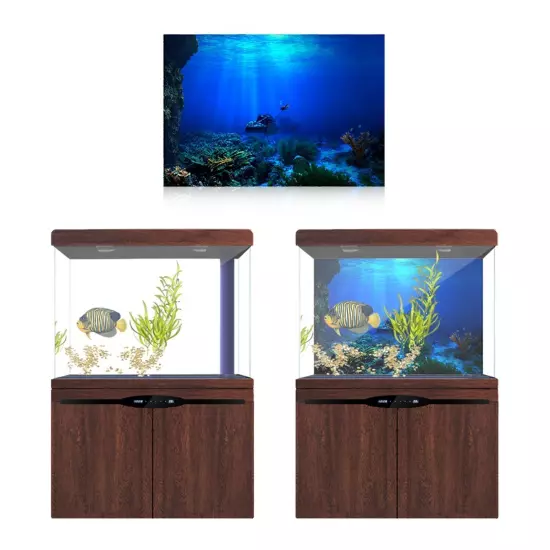 Adhesive Seaworld Background Poster for Aquarium Fish Tank Decoration 61 X 41cm