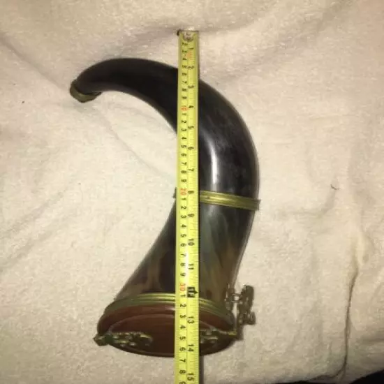 VINTAGE BLACK POWDER 14” LARGE BULL HORN* ALL ORIGINAL*VERY GOOD CONDITION "