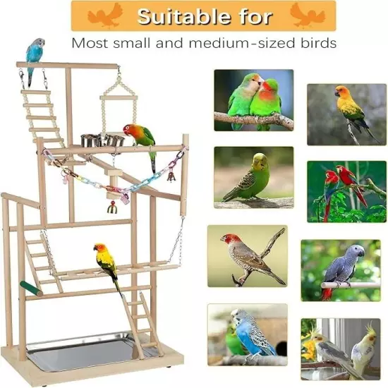 Pet Parrot Playstand Parrots Bird Playground Bird Play Stand Wood Perch Gym Play