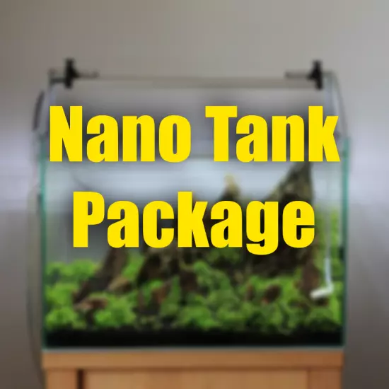 $100 Nano Aquarium Plant Package Freshy picked aquatic plants