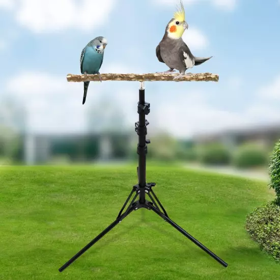 16-63 Inch Height Adjustable Bird Perch Stand, Natural Pepper Wood Parrot Per...