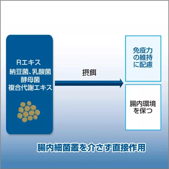 Saki-Hikari R Balance L Maintaining immunity FLOATING Koi Food 33 lbs 15kg