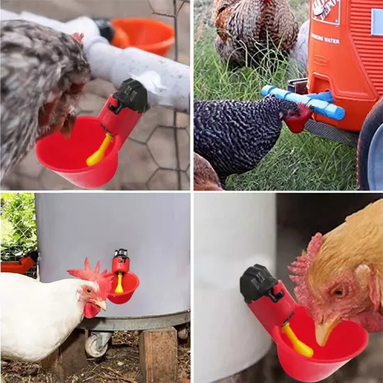 Automatic Water Drinking Cups - Water Feeder for Poultry and Pigeons (10 pcs.)