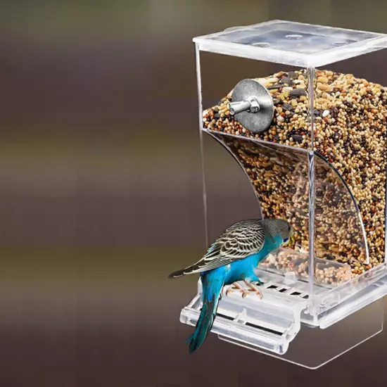 Bird Automatic Feeder Splash Proof Bird Feeder Bird Cage Accessories Bird Food