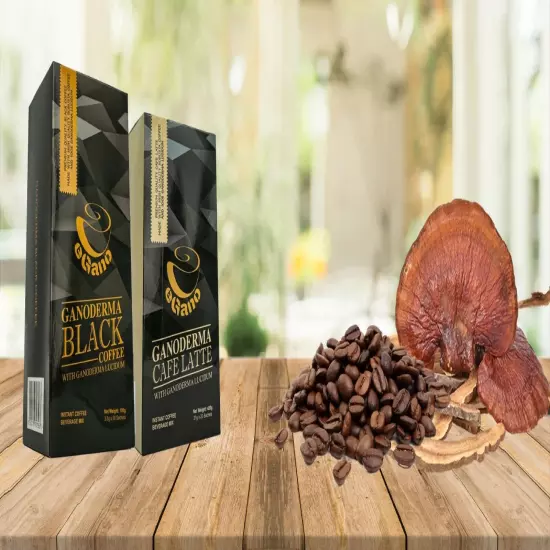 10 Boxes of eGano Ganoderma Black Coffee With Ganoderma Lucidum Expedited