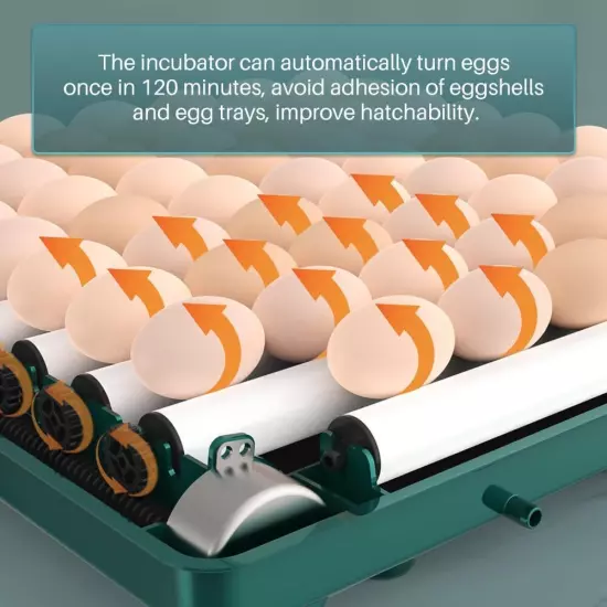 Automatic Egg Incubator 10-130 Egg Digital Poultry Hatcher Machine