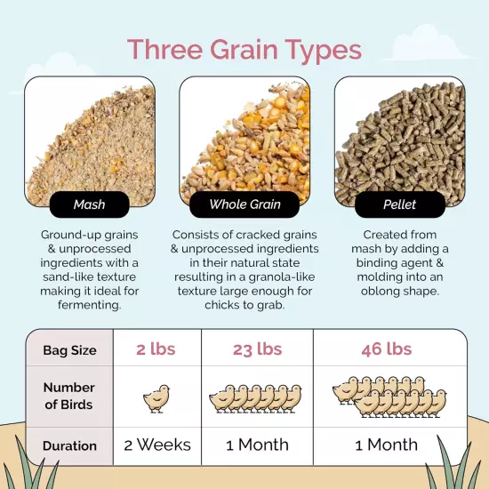 Organic Chicken Feed | Chick (0-8 Week) Starter Baby Feed | 2 Lbs. | Organic, No