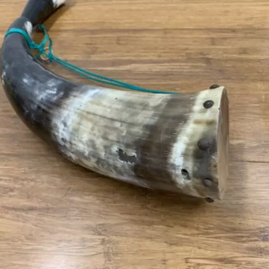 Antique Large Powder Horn W/ Cap Modern String Sling Wood Insert Nailed 18" x 15