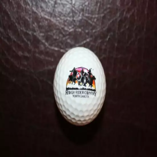 VINTAGE ORANGE AND WHITE PING EYE 2 GOLF BALL ROUGH RIDER COUNTRY N DAKOTA LOGO