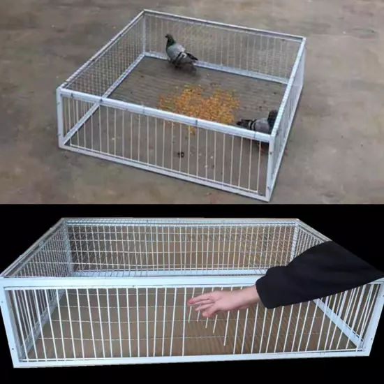 Pigeon Loft Door Pigeon Entrance Door Trap Door Pigeon House Door Racing Supplie