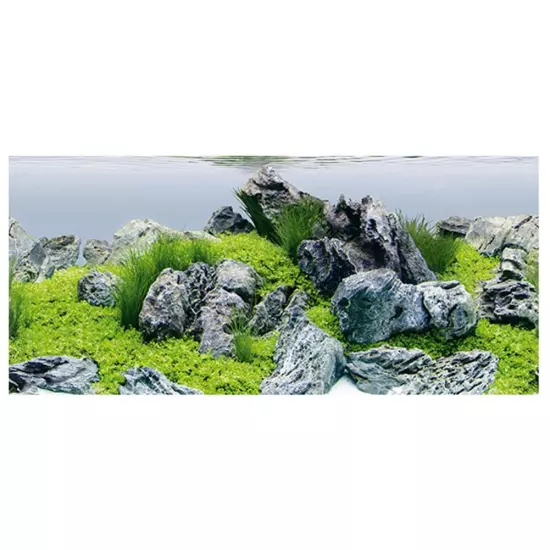 Fish Tank Background Paper Aquarium Aquascape Stone Poster Decor Fish TankGIFTฅ