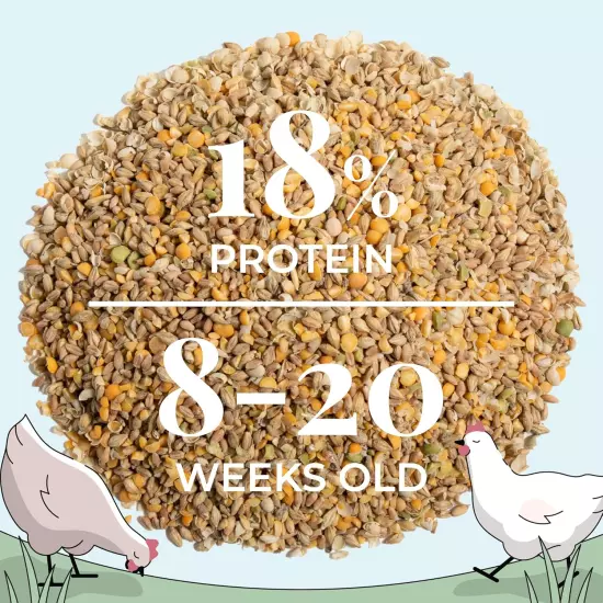 Organic Chicken Feed | Grower (8-20 Week) Chickens | 2 Lbs. | Organic, Non-Gmo, 