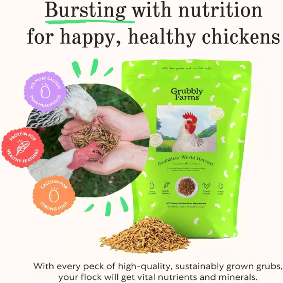 Grubblies - Black Soldier Fly Larvae for Chickens - Nourishing Daily Chicken Tre