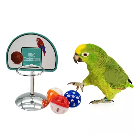 Pet Parrot Basketball Hoop Props Puzzle Game Chew for Play Parakeet Bells