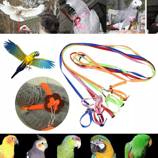 Parrot Bird Harness Leash Adjustable Training Rope Flying Traction Straps Band.