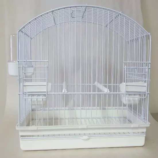 #I068 BORDER CANARY TRAINING CAGE 13.5 " W X 11.5" H X 6.5" D