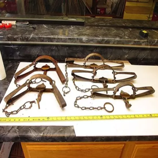  5 Nice Old #4 Victor Long Spring Trap Trapping Mancave Cabin Tool 