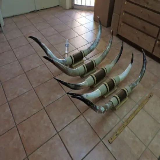 MOUNTED STEER HORNS 4' - 4' 5" TIP TO TIP (1 SET) COW BULL HORNS LONGHORNS 