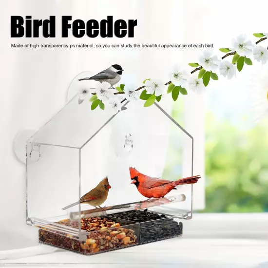 Indoor Outdoor Hanging Bird Feeder PS Transparent Bird Feeding Tool for Feeding