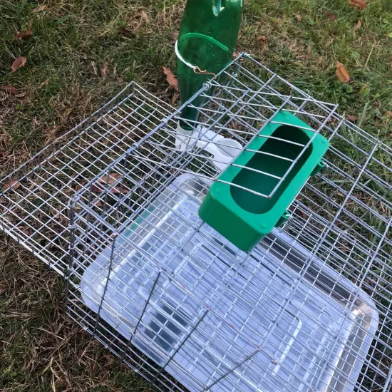 Quail Coturnix Laying Bird Breeding Cage W/ Egg Roll Out, Feeder, Drinker, Tray