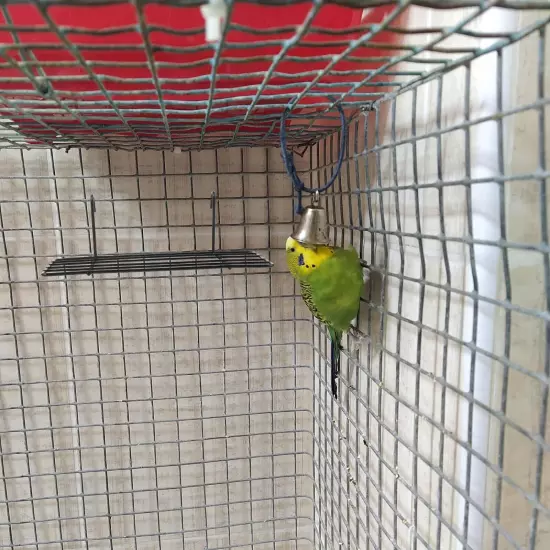 balacoo 4 pcs Toys Stand Wire Conure A Cage Accessories Training Pen Househol...