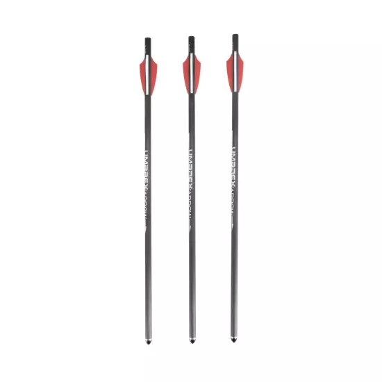 Air Javelin Carbon Fiber Air Archery Arrows, Gray with Field Tips 6-Pack US