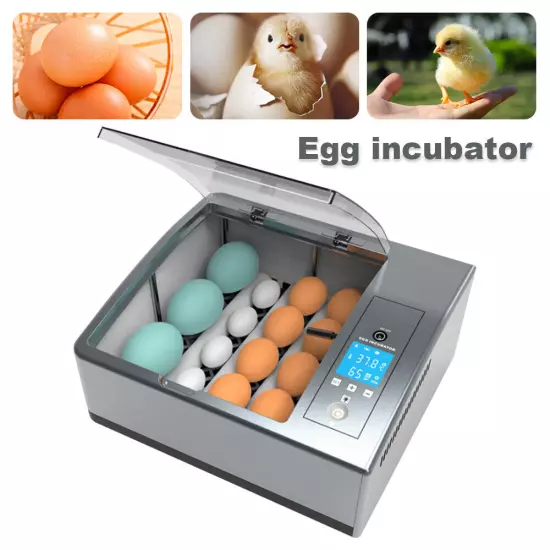 16 Chicken Egg Incubator Fit Hatching Eggs with Automatic Turner Temp Control US