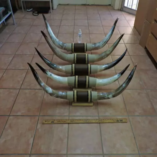 MOUNTED STEER HORNS 4' - 4' 5" TIP TO TIP (1 SET) COW BULL HORNS LONGHORNS 