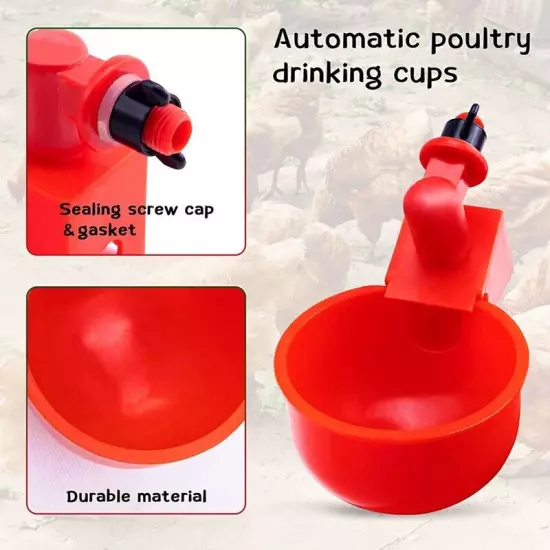  Cup 3/8 Inch Thread Automatic Filling for Poultry Watering L7Q1