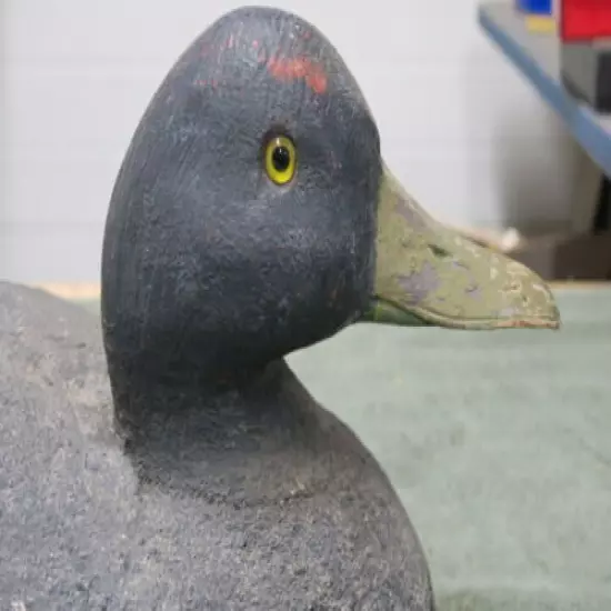 Whitey Labo Black Duck Decoy, Monroe Michigan, Lake Erie, Downriver, 