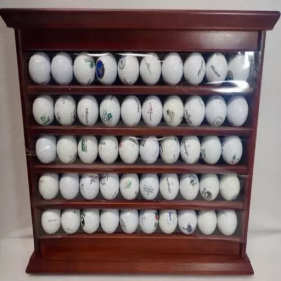 Wood Display Rack & Unique Golf Ball Collection of Courses Played Many Michigan