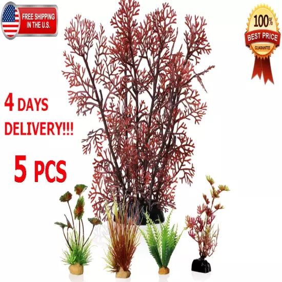 5PCS Beginner Aquarium Plants Bundle Pack 5 Plants tank easy Aquatic Decorations